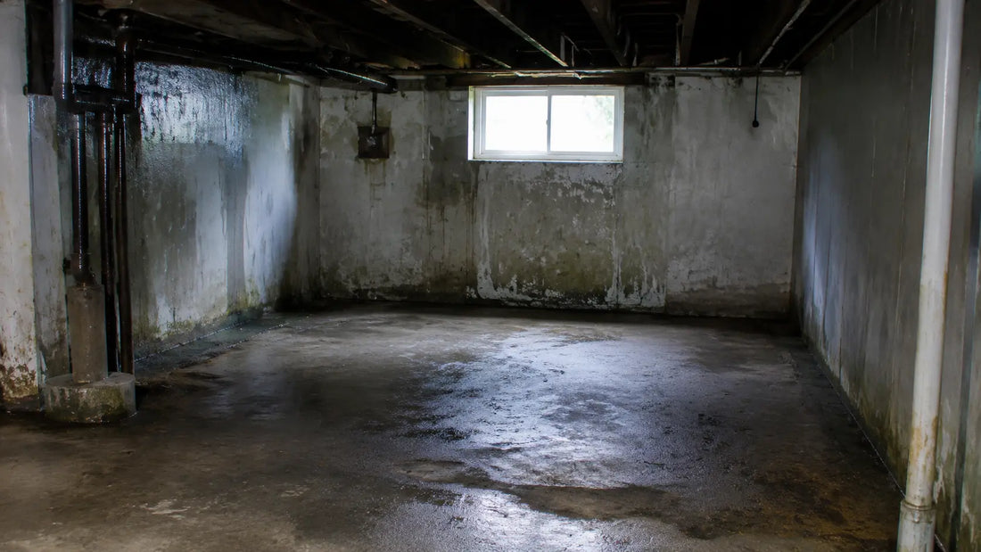 Dark damp basement with condensation and musty mold, illustrating common underground moisture issues that create stale basement odors