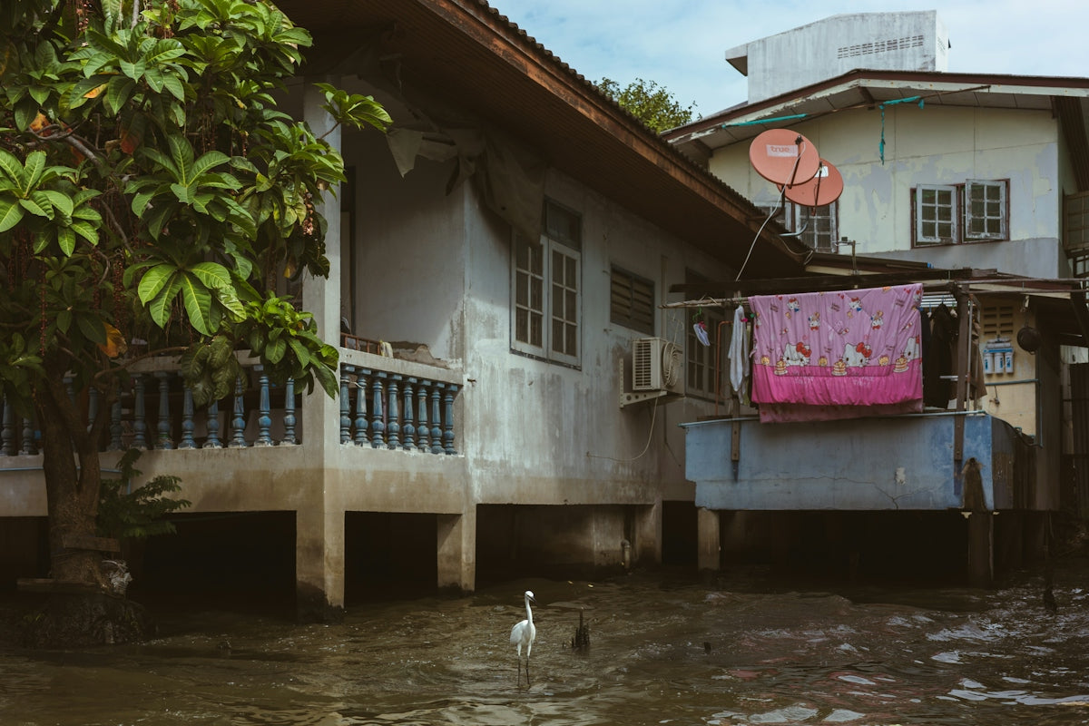 a bird standing in a flooded area next to a house